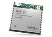 RM1 LoRa-BLE Modules