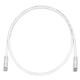 Panduit UTPSP4MY